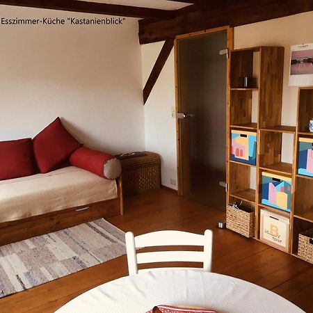 Ferienwohnung Kastanienblick Oder Parkblick, Oder Unser Radlerzimmer! Ziethen  Ngoại thất bức ảnh