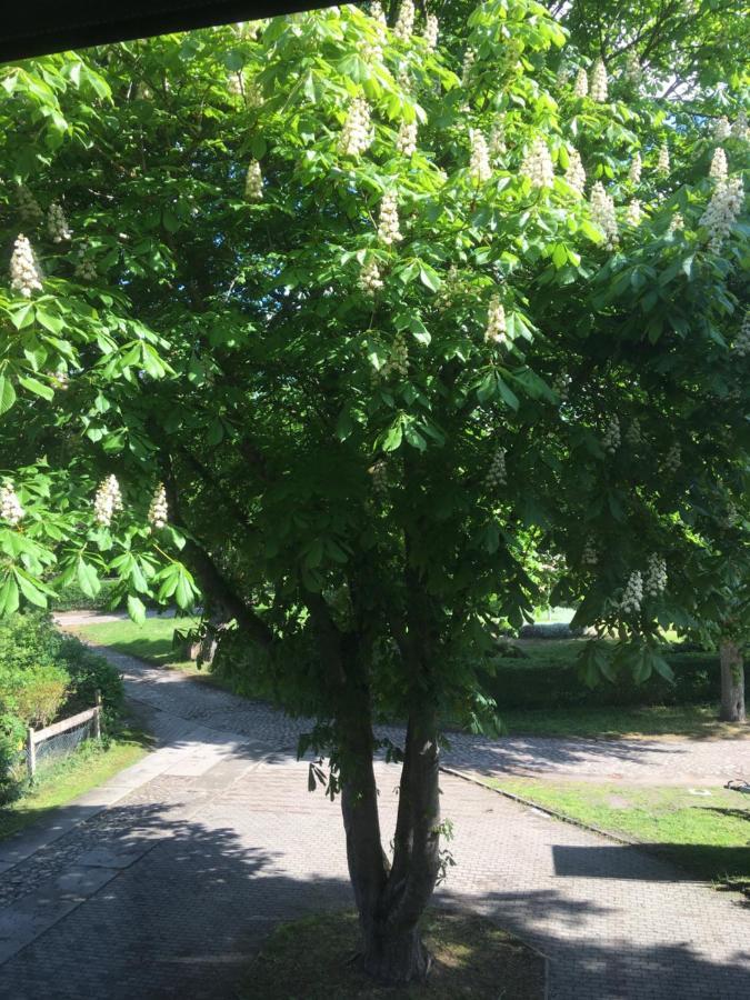 Ferienwohnung Kastanienblick Oder Parkblick, Oder Unser Radlerzimmer! Ziethen  Ngoại thất bức ảnh