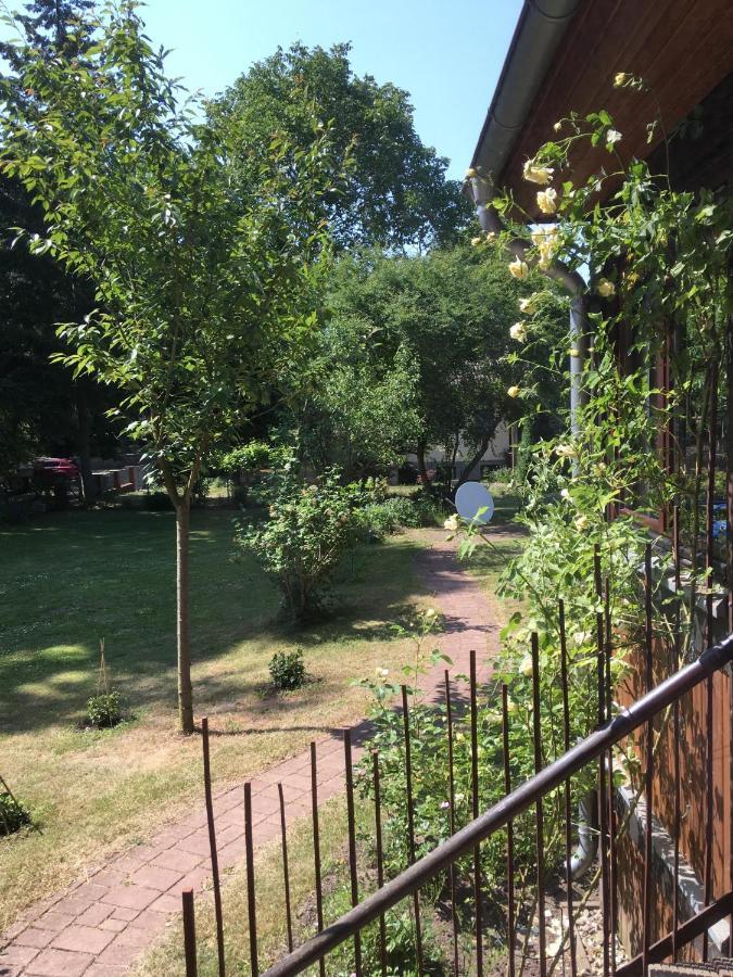 Ferienwohnung Kastanienblick Oder Parkblick, Oder Unser Radlerzimmer! Ziethen  Ngoại thất bức ảnh